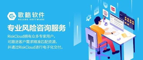 专注风险管控 歌略安全风险专业咨询服务的核心价值与实践
